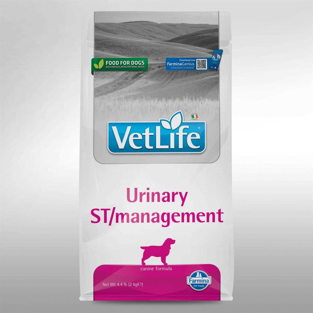Canine Urinary Management U969803