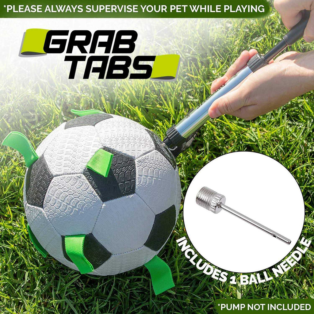 Soccer Ball Dog Toy C2986