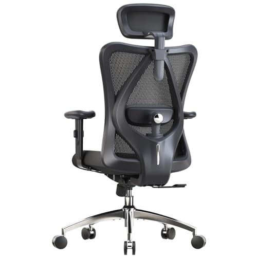 Black Ergonomic Office Chair with Adjustable Headrest and Lumbar Support G91568