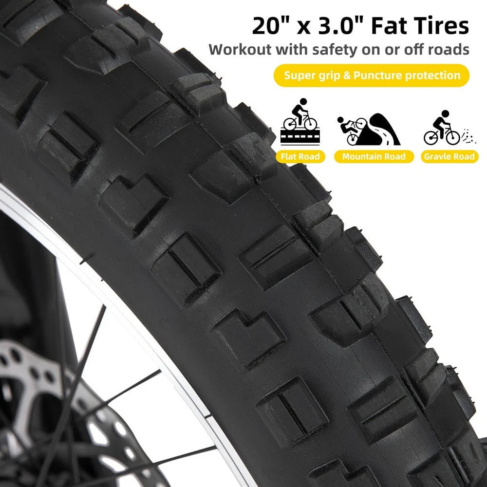 20 Inch 7 Speed Disc Brakes Fat Tire Kids Mountain Bike F653945