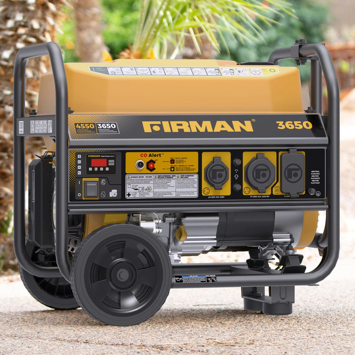 4550/3650 Watt Gas Portable Generator W1293