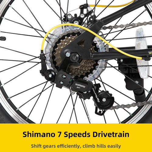 20 Inch 7 Speed Disc Brakes Fat Tire Kids Mountain Bike F653945