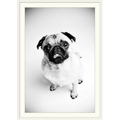 Photographic Print White Frame 26x22 H x 20x22 W x 1x22 D C18580