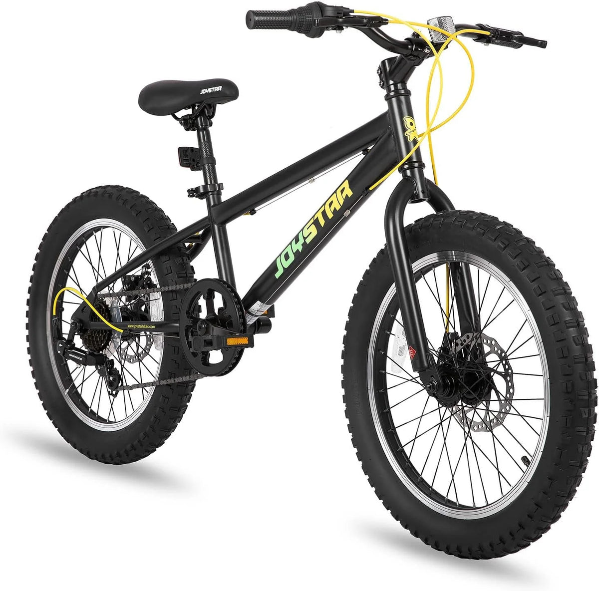 20 Inch 7 Speed Disc Brakes Fat Tire Kids Mountain Bike F653945
