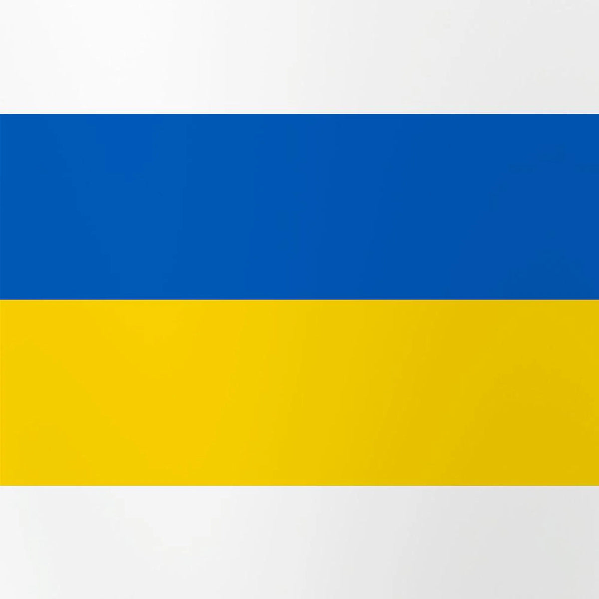 Flag Of Ukraine 16 oz Pint Glass X549
