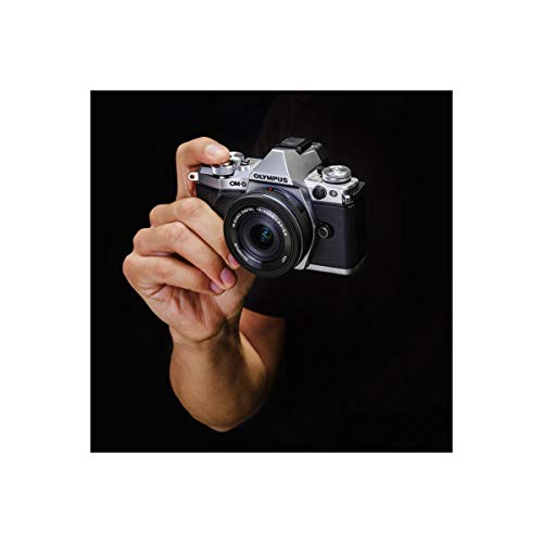 Silver Mirrorless Camera Body E212970