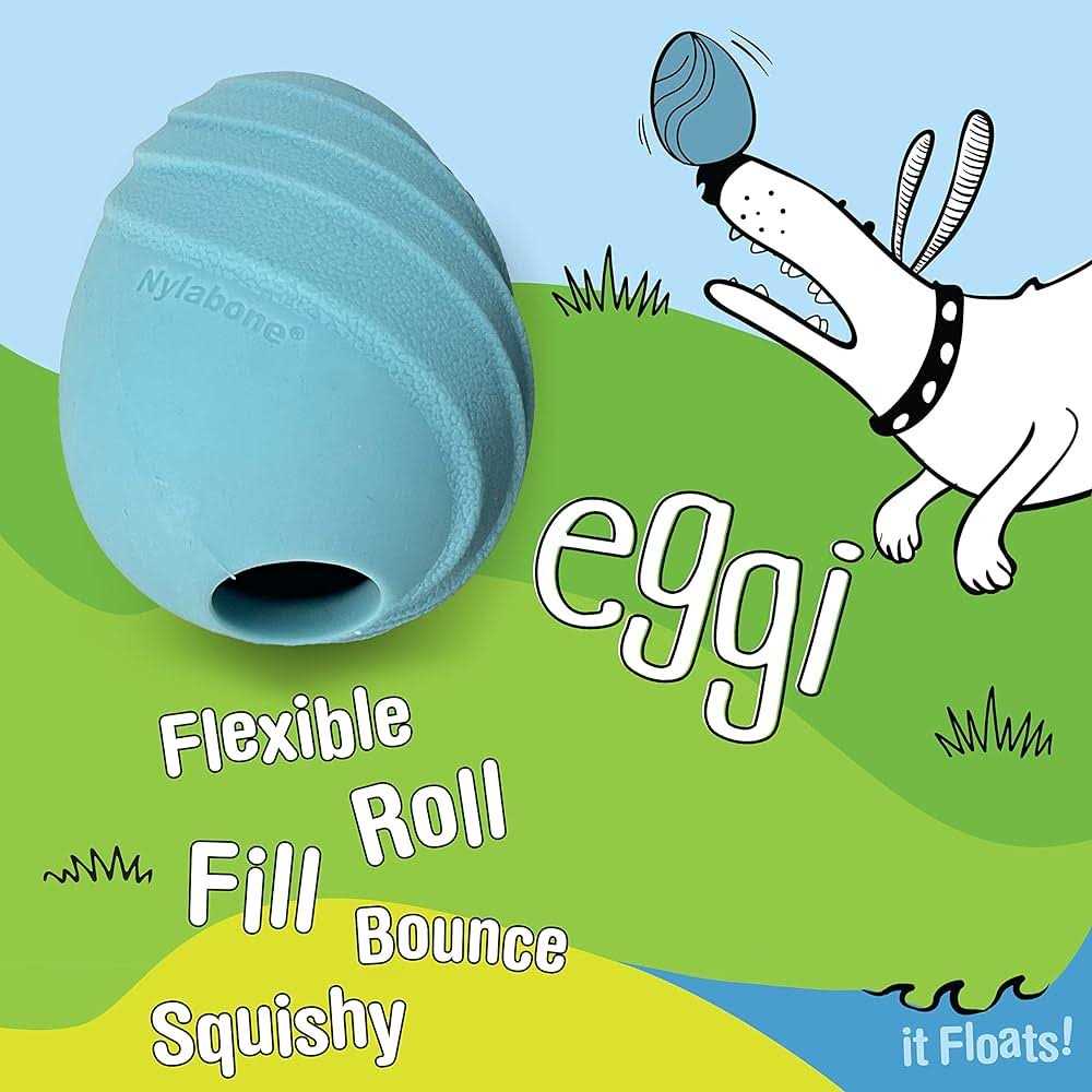 Dog Toy N75067