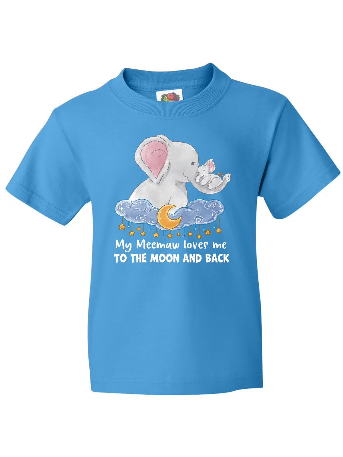 Youth T-Shirt S787