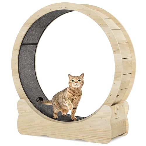 43.3 Inch Solid Wood Cat Exercise Running Wheel with Carpeted Runway N84925