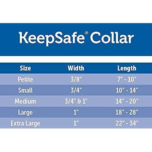 Break-Away Dog Collar Y251