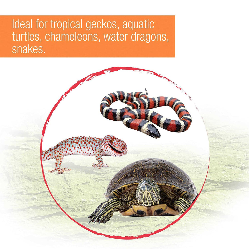 Tropical Reptile Fixture U76486