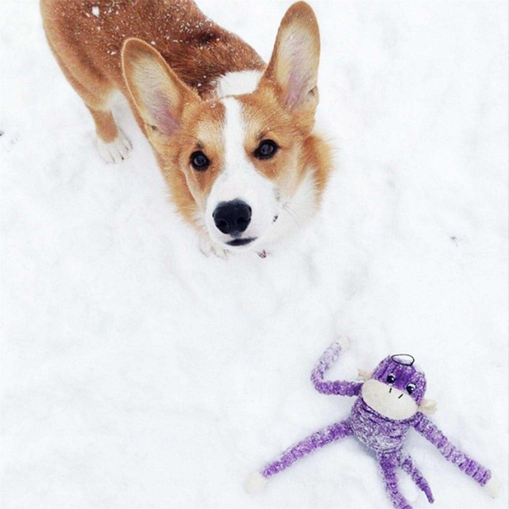 Crinkle Monkey Dog Toy V2210