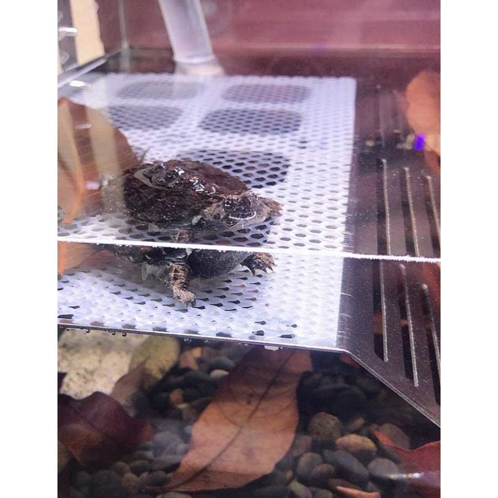 Stainless Steel Turtle Basking Platform S3439