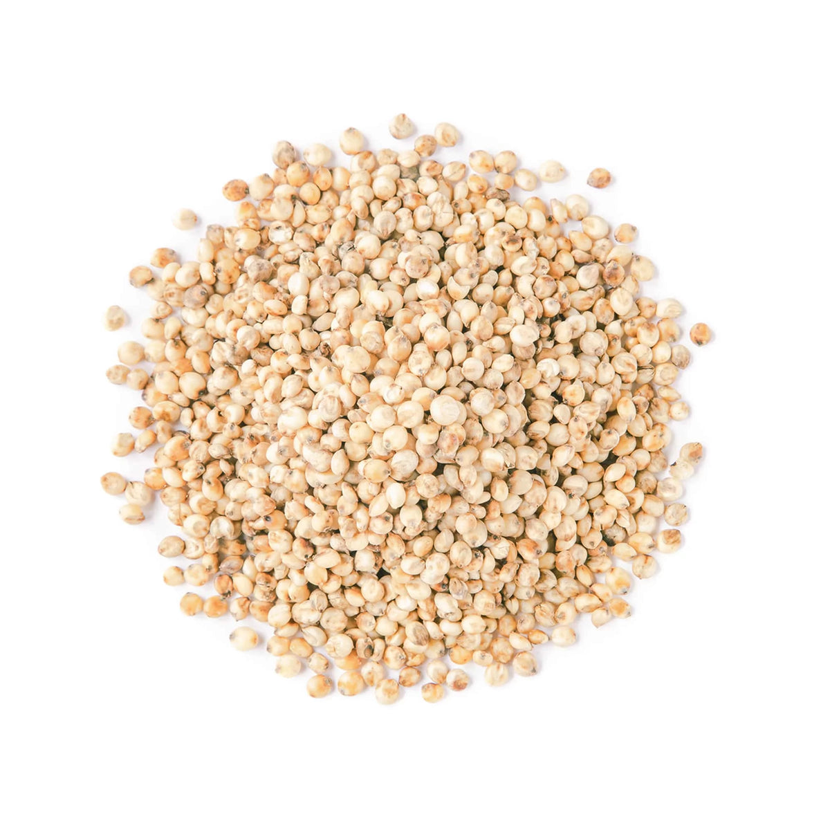 Whole Grain Sorghum, 20 Pounds – White Groats, Raw, Bulk Q4575