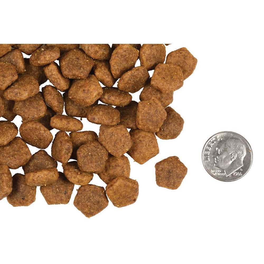 Dry Dog Food N9031