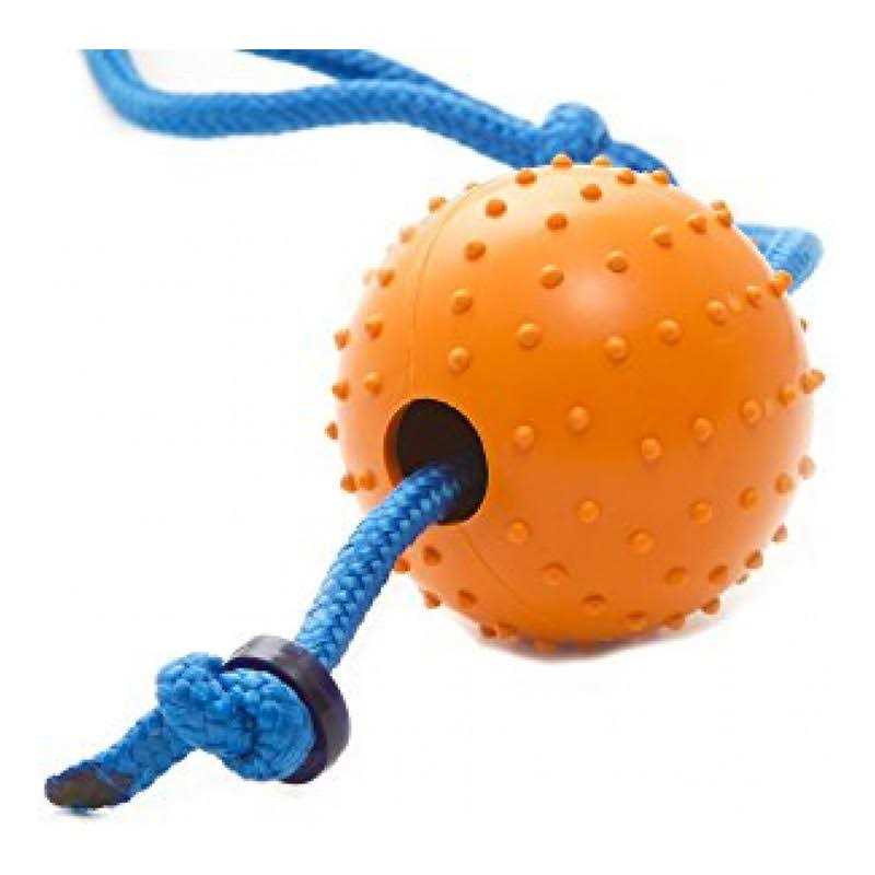 Snitch Pet Squeaker Toy B6320