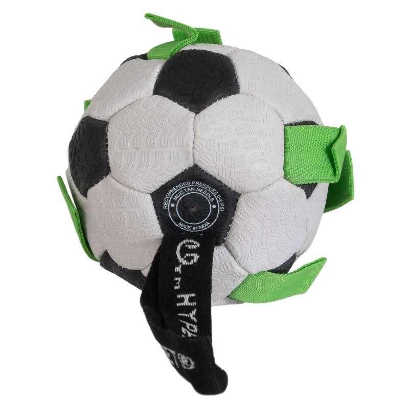 Soccer Ball Dog Toy C2986