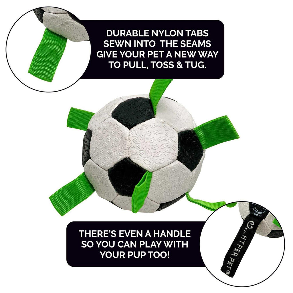 Soccer Ball Dog Toy C2986