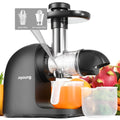 Slow Masticating Cold Press Juicer I6114