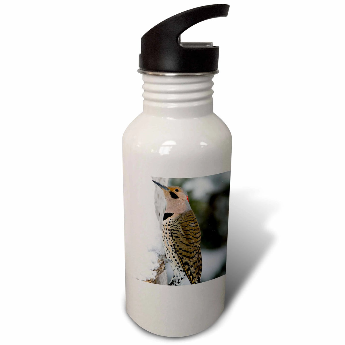 21 oz Sports Water Bottle C12462