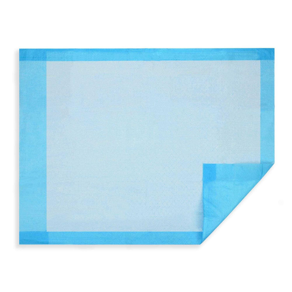 Disposable Underpads 2-Ply 17 X 24” M662
