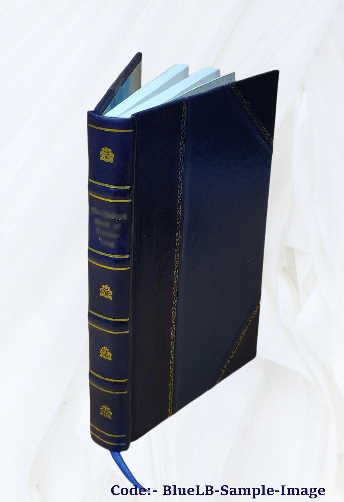 Leather Bound Book O40229