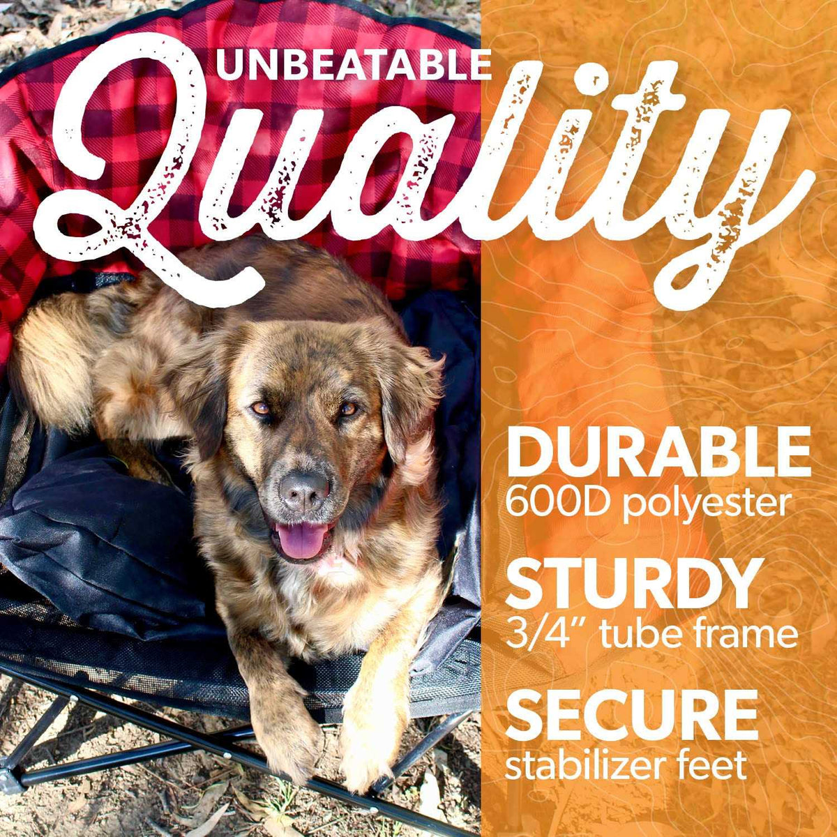 Lazy Bear Dog Bed C6983
