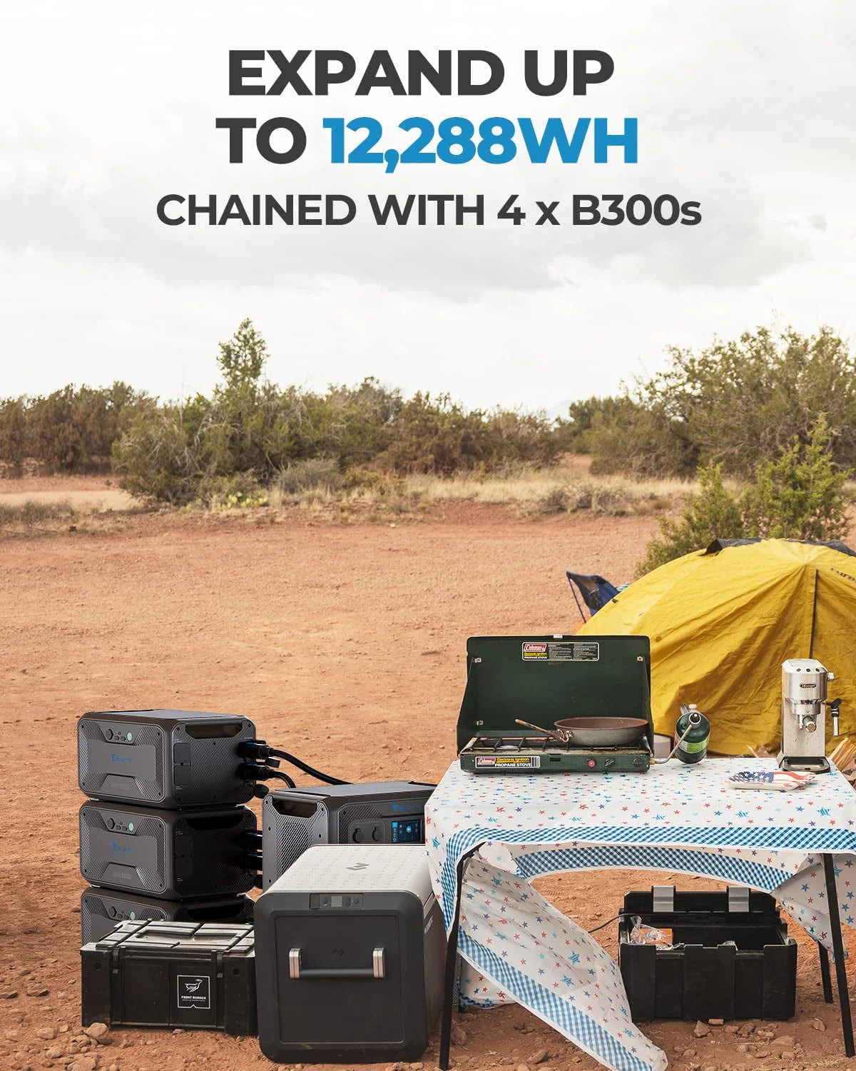 Expandable Power Station 3072Wh 3000W AC Output W224