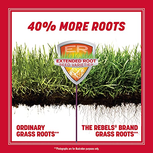 40 lb Tall Fescue Grass Seed Mix I583