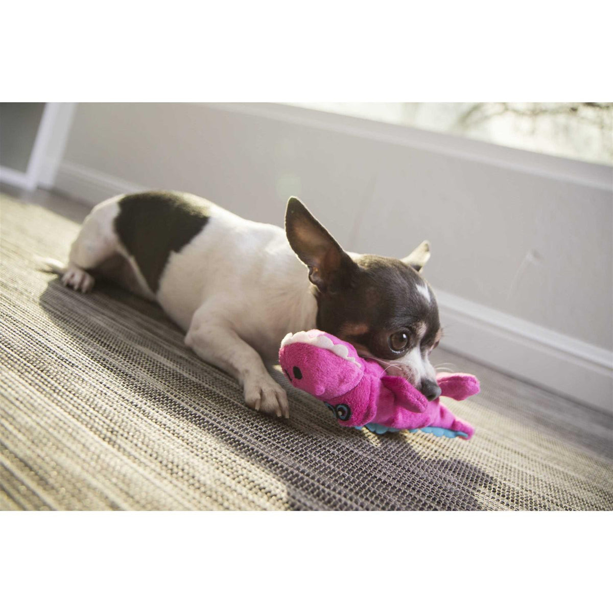 Chew Guard Dog Toy E904681