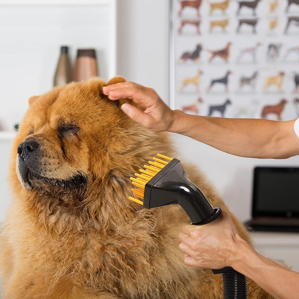 Portable 4HP Variable Speed Pet Grooming Dryer with Heating K340464