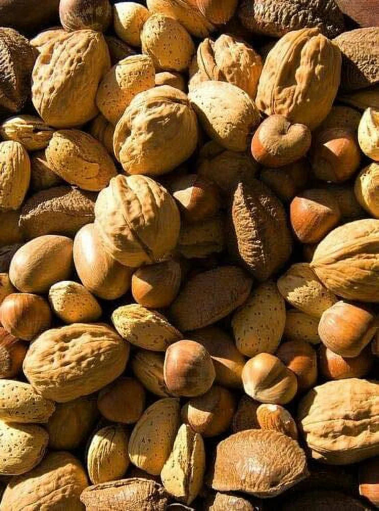 Raw In-shell Whole Mixed Nuts 4 LB Q897248