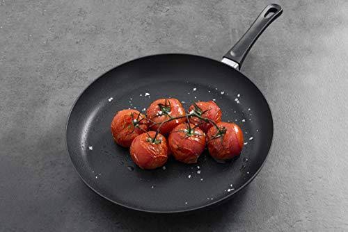 Classic Induction 12.5x22 Fry Pan P526389