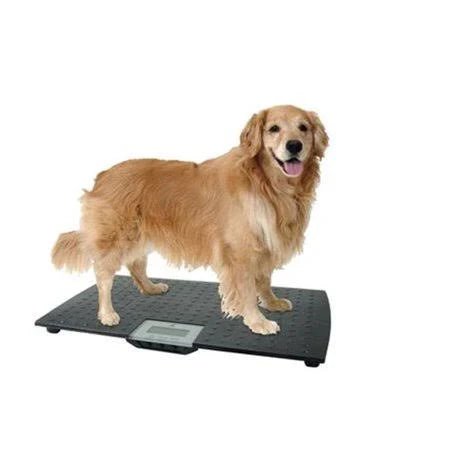 Large Digital Pet Scale Black E210