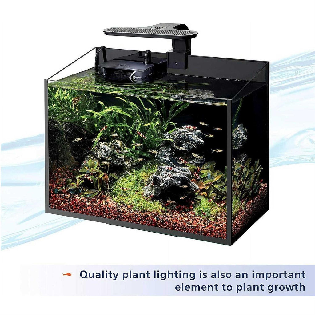 Aquarium Food Plant Y444175