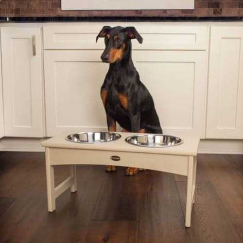 Pet Feeder A41231