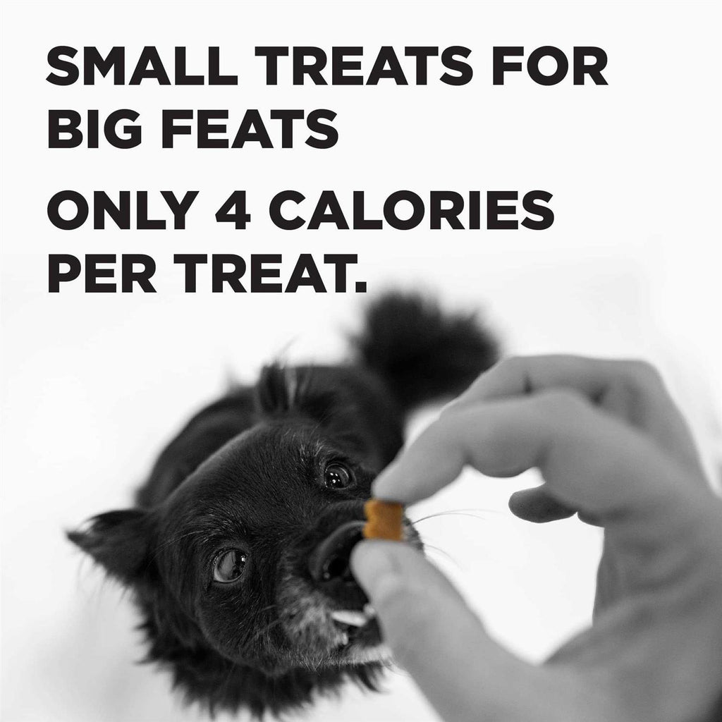 Dog Treats Y585867