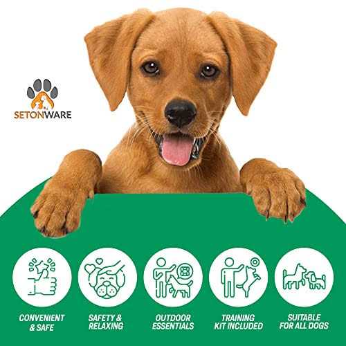 Puppy Starter Kit Dog Toys Dog Bed Blankets Grooming Tool U7070