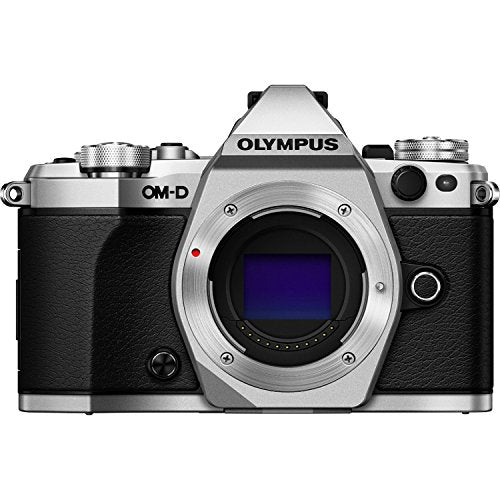 Silver Mirrorless Camera Body E212970