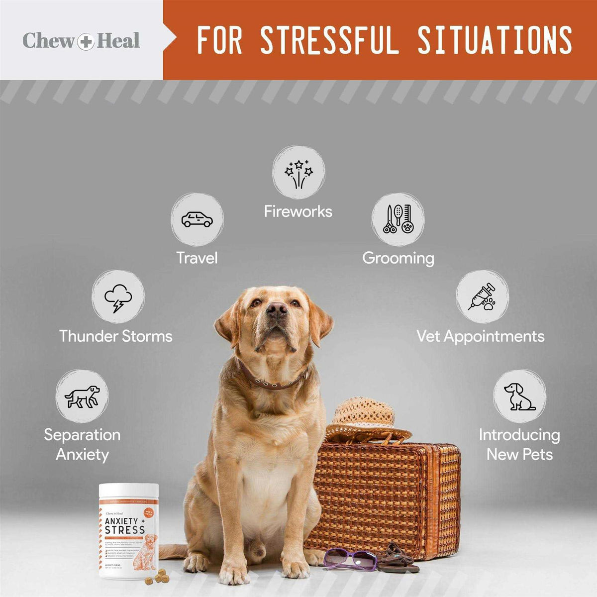 Anxiety & Stress Dog Supplement F1048