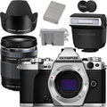 Silver Mirrorless Camera Body E212970