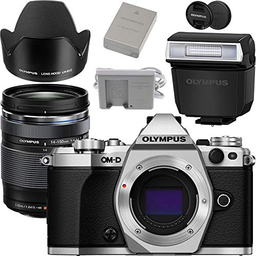 Silver Mirrorless Camera Body E212970