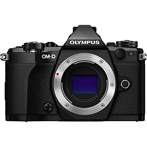 Silver Mirrorless Camera Body E212970