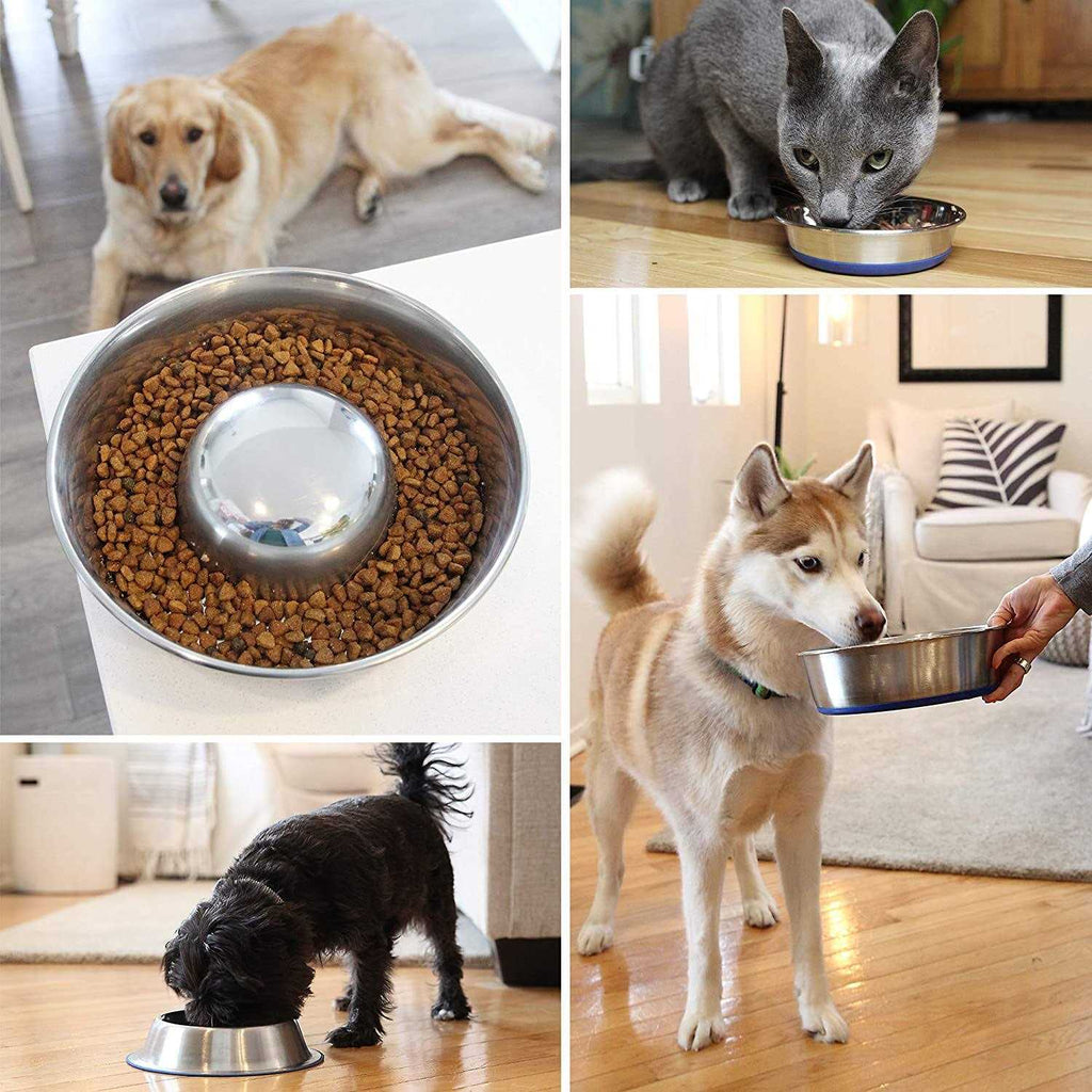 Slow Feed Bowl S290766
