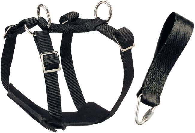 Car Safety Harness Small 15 cm M672828