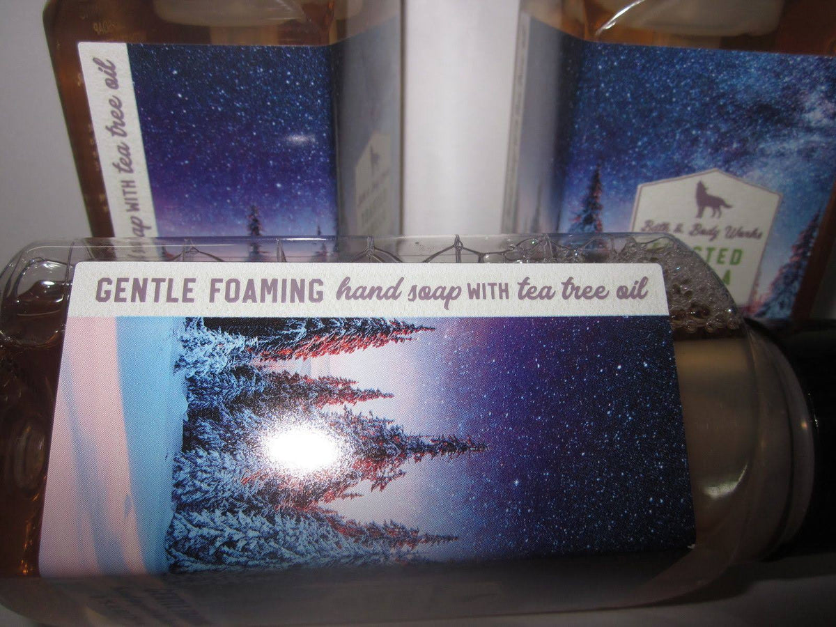 3 Bath & Body Works Gentle Foaming Hand Soap Toasted Vanilla Chai L764