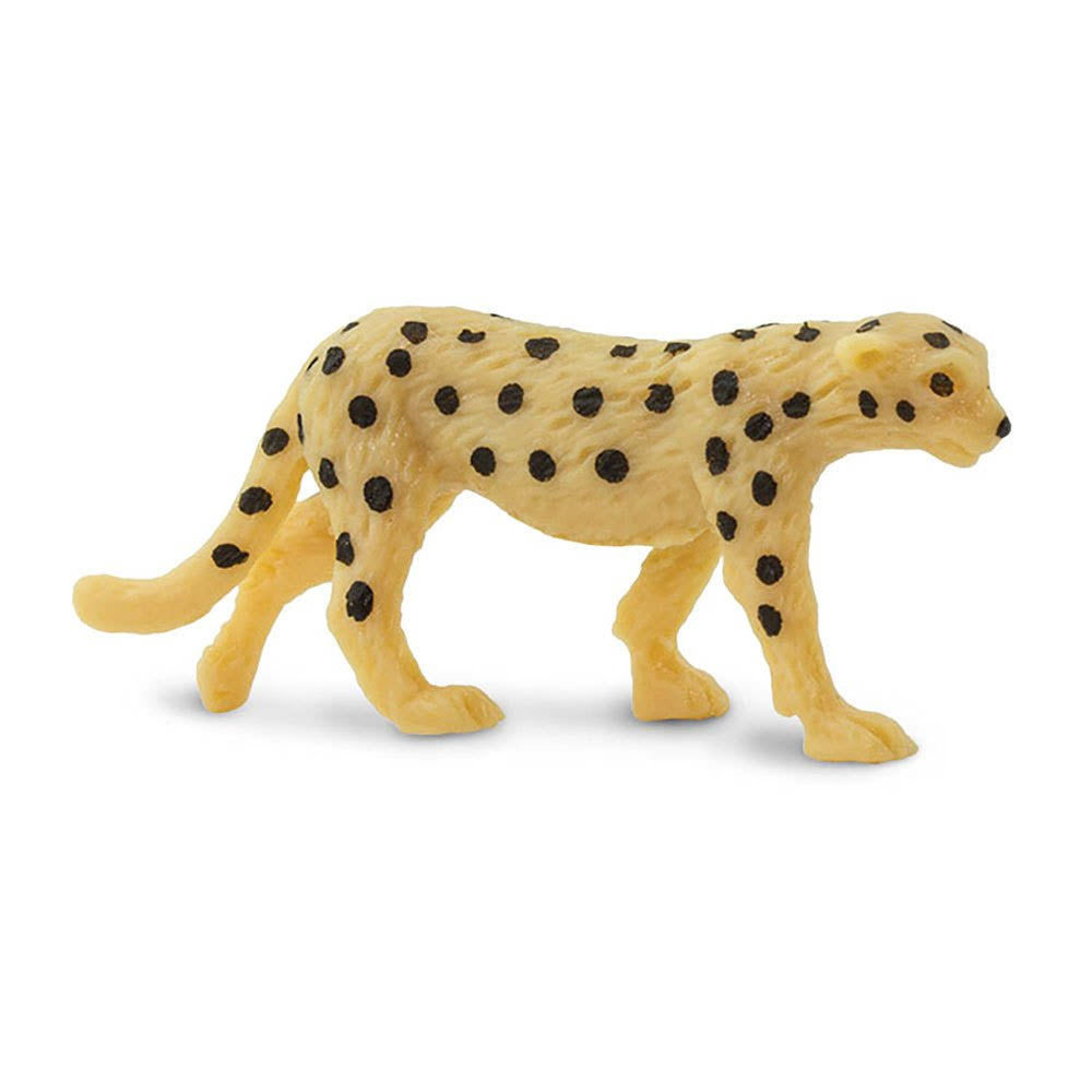 Cheetahs T618