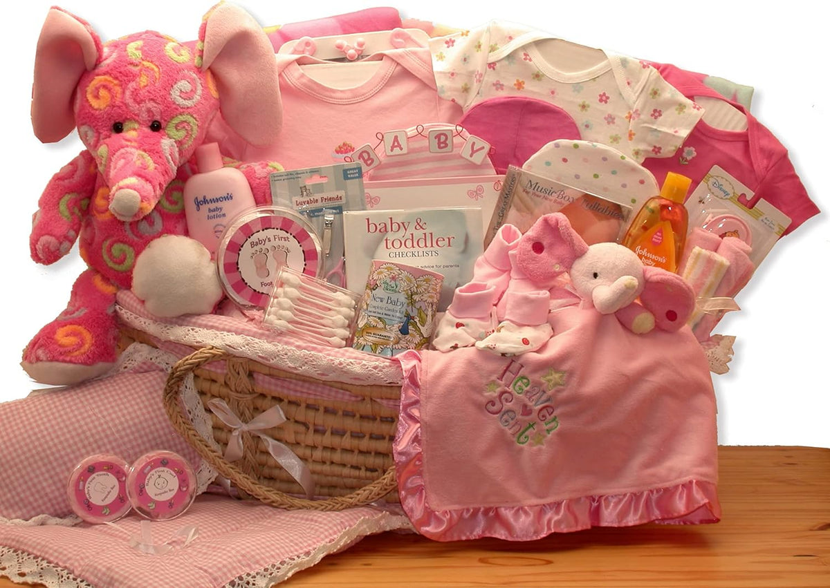 Pink Moses Carrier Baby Gift Basket F545