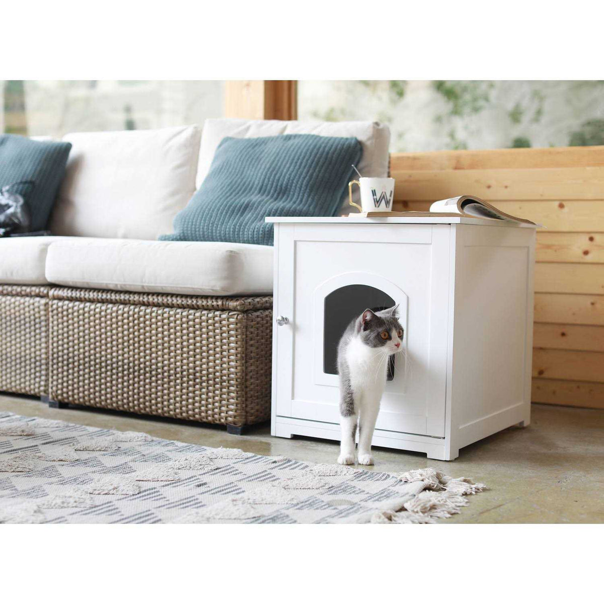 Kitty Litter Loo Y528555