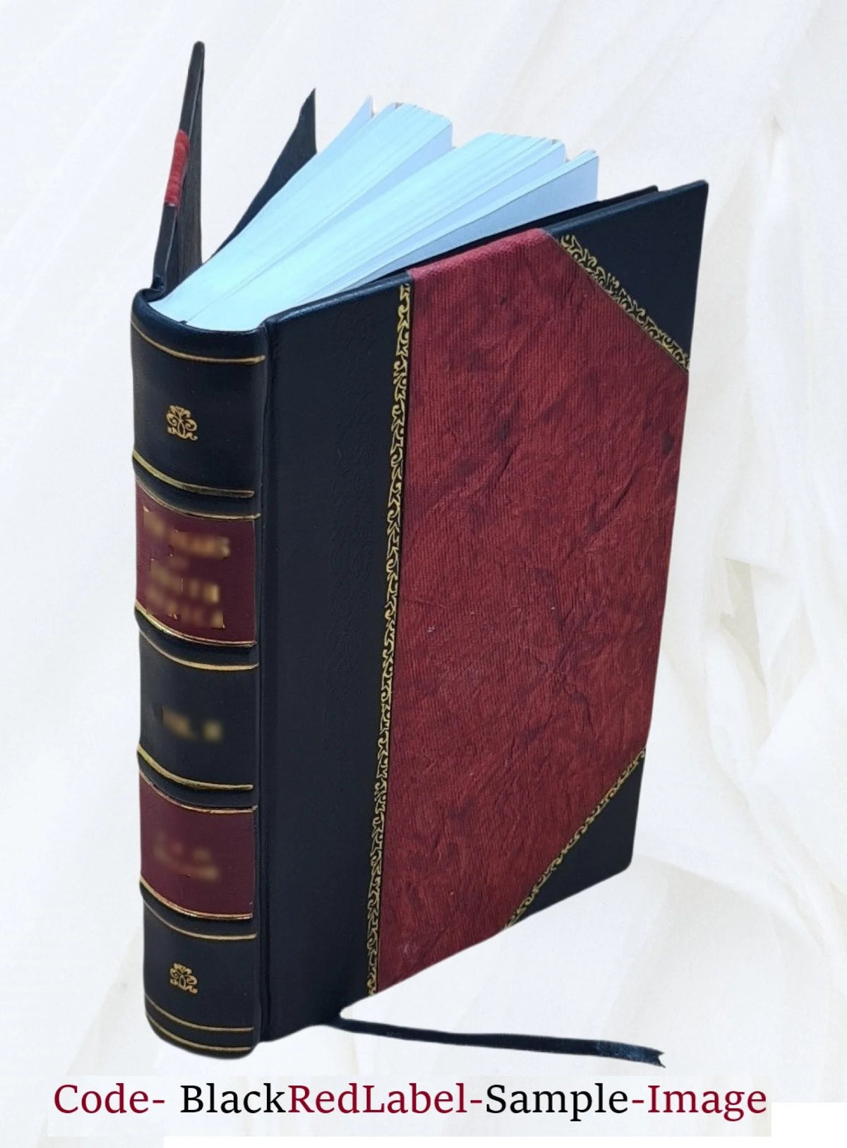 Leather Bound Book O40229